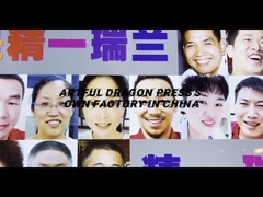 Artful Dragon's own factory in Shenzhen China