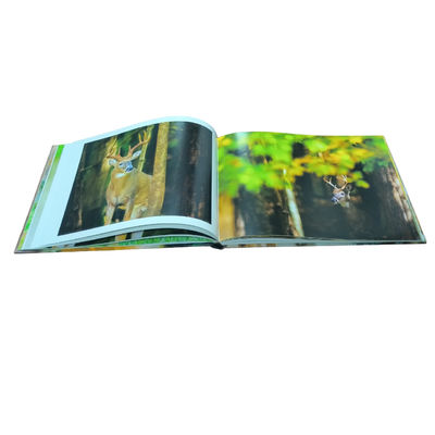 Gentle Souls Of The Forest Hardcover Coffee Table Book