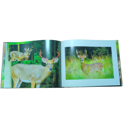 Gentle Souls Of The Forest Hardcover Coffee Table Book